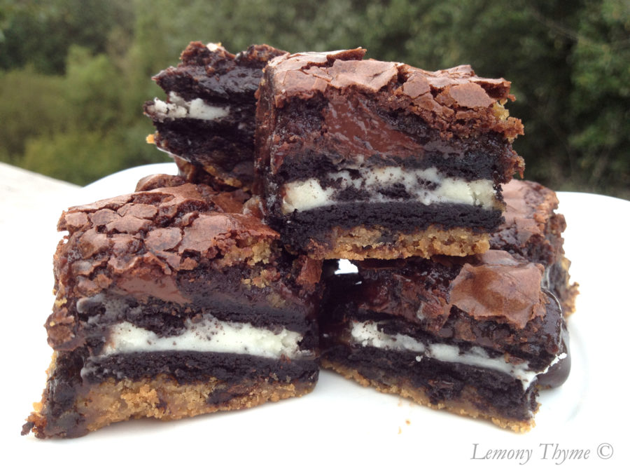 http://www.lemonythyme.com/wp-content/uploads/2012/09/chocolate-chip-oreo-brownies.jpg